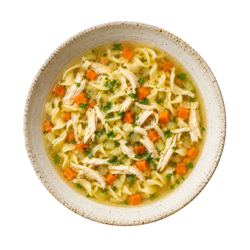 Quick Chicken Noodle Soup